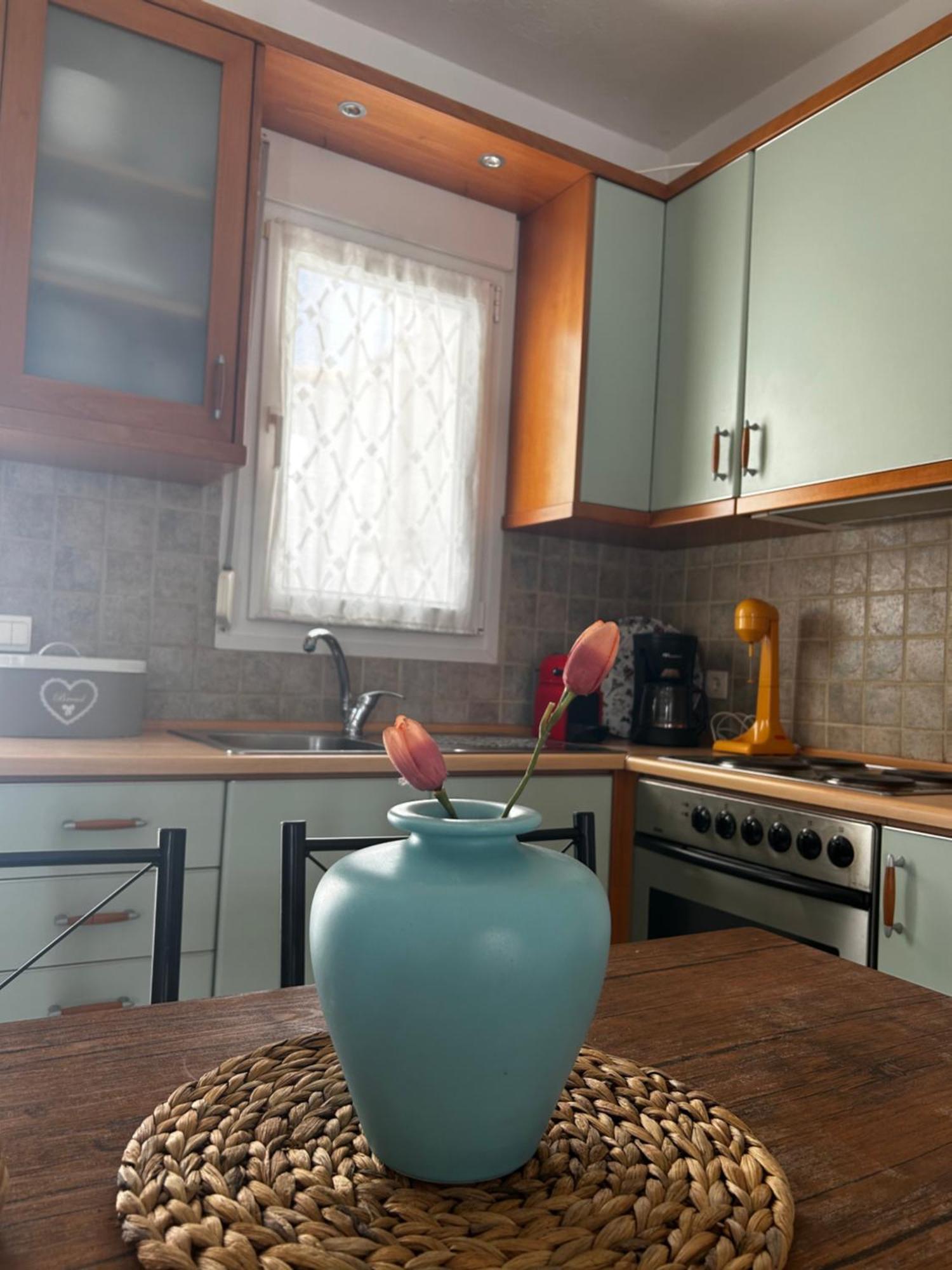 Perfect Hospitality - Elenas House, Nikiti Villa Kültér fotó